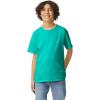 imageGildan Youth Ultra Cotton TShirt Style G2000B MultipackJade Dome 2pack