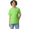 imageGildan Youth Ultra Cotton TShirt Style G2000B MultipackLime 2pack