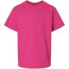 imageGildan Youth DryBlend TShirt Style G8000B 2PackHeliconia