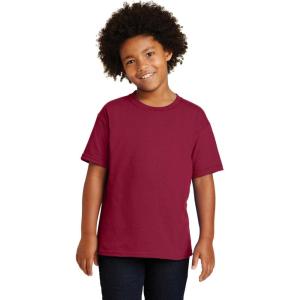 imageGildan Youth Heavy Cotton TShirt Style G5000B 2PackCardinal Red