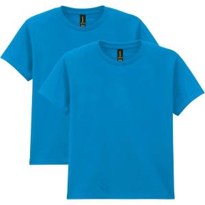 imageGildan Youth Heavy Cotton TShirt Style G5000B 2PackSapphire