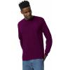 imageGildan Unisex Adult Ultra Cotton Long Sleeve TShirt Style G2400 MultipackMaroon 2pack