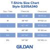 imageGildan Adult DryBlend Workwear TShirts with Pocket 2PackSafety Green