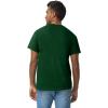 imageGildan Unisex Adult Heavy Cotton TShirt Style G5000 MultipackForest Green 2pack