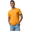 imageGildan Unisex Adult Heavy Cotton TShirt Style G5000 MultipackGold 2pack