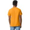 imageGildan Unisex Adult Heavy Cotton TShirt Style G5000 MultipackGold 2pack