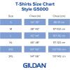 imageGildan Unisex Adult Heavy Cotton TShirt Style G5000 MultipackGraphite Heather 2pack