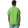 imageGildan Unisex Adult Heavy Cotton TShirt Style G5000 MultipackLime 2pack