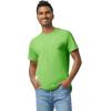 imageGildan Unisex Adult Heavy Cotton TShirt Style G5000 MultipackLime 2pack