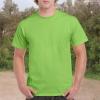 imageGildan Unisex Adult Heavy Cotton TShirt Style G5000 MultipackLime 2pack