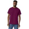 imageGildan Unisex Adult Heavy Cotton TShirt Style G5000 MultipackMaroon 2pack