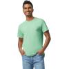 imageGildan Unisex Adult Heavy Cotton TShirt Style G5000 MultipackMint Green 2pack