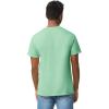 imageGildan Unisex Adult Heavy Cotton TShirt Style G5000 MultipackMint Green 2pack