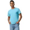 imageGildan Unisex Adult Heavy Cotton TShirt Style G5000 MultipackSky 3pack