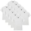 Ash Grey (10-pack)