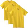 Daisy (3-pack)