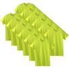 Safety Green (12-pack)