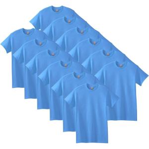 imageGildan Unisex Adult Heavy Cotton TShirt Style G5000 MultipackCarolina Blue 12pack