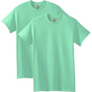imageGildan Unisex Adult Heavy Cotton TShirt Style G5000 MultipackMint Green 2pack