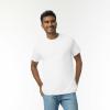 imageGildan Unisex Adult Ultra Cotton TShirt Style G2000 MultipackAsh Grey 2pack
