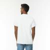 imageGildan Unisex Adult Ultra Cotton TShirt Style G2000 MultipackAsh Grey 2pack