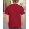 imageGildan Unisex Adult Ultra Cotton TShirt Style G2000 MultipackCardinal Red 2pack
