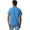 imageGildan Unisex Adult Ultra Cotton TShirt Style G2000 MultipackCarolina Blue 12pack