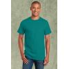 imageGildan Unisex Adult Ultra Cotton TShirt Style G2000 MultipackJade Dome 2pack