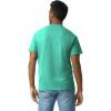 imageGildan Unisex Adult Ultra Cotton TShirt Style G2000 MultipackJade Dome 3pack