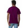 imageGildan Unisex Adult Ultra Cotton TShirt Style G2000 MultipackMaroon 2pack