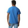 imageGildan Unisex Adult Ultra Cotton TShirt Style G2000 MultipackRoyal 2pack