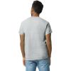 imageGildan Unisex Adult Ultra Cotton TShirt Style G2000 MultipackSport Grey 10pack