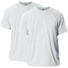 Ash Grey (2-pack)