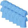 Carolina Blue (12-pack)