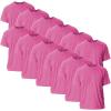 Heliconia (12-pack)