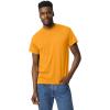 imageGildan Unisex Adult Dryblend TShirt Style G8000 MultipackGold 2pack