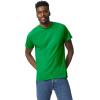 imageGildan Unisex Adult Dryblend TShirt Style G8000 MultipackIrish Green 2pack