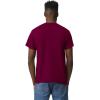 imageGildan Unisex Adult Dryblend TShirt Style G8000 MultipackMaroon 2pack