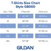 imageGildan Unisex Adult Dryblend TShirt Style G8000 MultipackMaroon 2pack