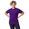 imageGildan Unisex Adult Dryblend TShirt Style G8000 MultipackPurple 2pack