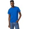 imageGildan Unisex Adult Dryblend TShirt Style G8000 MultipackRoyal 2pack