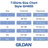 imageGildan Hammer Adult Long Sleeve TShirt 2Pack Style GH400White 2pack