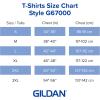 imageGildan Unisex Adult Softstyle CVC Short Sleeve TShirt Style G67000 MultipackSlate 36pack