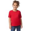 imageGildan Youth Toddler TShirt Style G5100P 2PackRed
