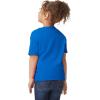 imageGildan Youth Toddler TShirt Style G5100P 2PackRoyal