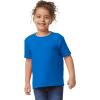 imageGildan Youth Toddler TShirt Style G5100P 2PackRoyal