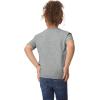 imageGildan Youth Toddler TShirt Style G5100P 2PackSport Gray