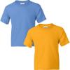 Carolina Blue-gold