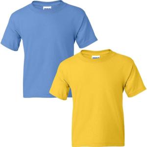 imageGildan Youth DryBlend TShirt Style G8000B 2PackCarolina Bluedaisy