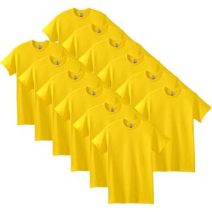 imageGildan Adult Heavy Cotton TShirt Style G5000 MultipackDaisy 12pack